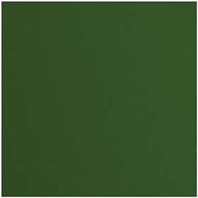 Florence Cardstock Canvas 30,5x30,5cm 216g Pine 1 Blad