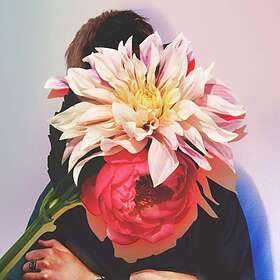 Kaktus Einarsson - Kick The Ladder LP