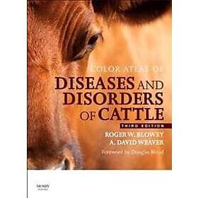 Roger Blowey: Color Atlas of Diseases and Disorders Cattle