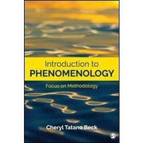 Cheryl Tatano Beck: Introduction to Phenomenology