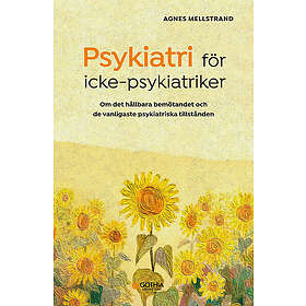 Agnes Mellstrand: Psykiatri för icke-psykiatriker om det hållbara bemötandet och de vanligaste psykiatriska tillstånden