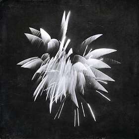 Brent Windler - New Morning Howl LP