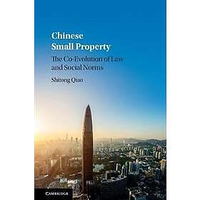 Shitong Qiao: Chinese Small Property