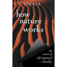 Per Bak: How Nature Works