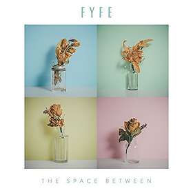Fyfe Dangerfield - The Space Between LP