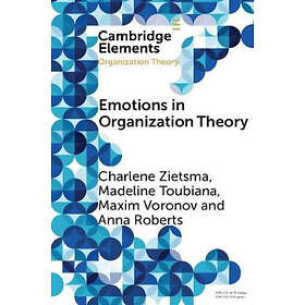 Charlene Zietsma: Emotions in Organization Theory
