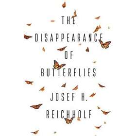JH Reichholf: The Disappearance of Butterflies