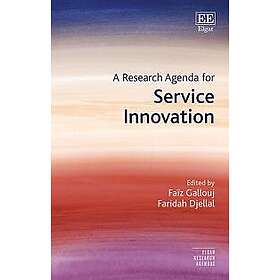 Faiz Gallouj, Faridah Djellal: A Research Agenda for Service Innovation