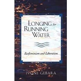 Ivone Gebara, David Molineaux: Longing for Running Water
