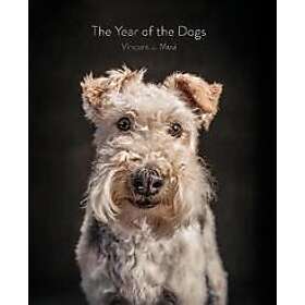 Vincent J Musi: The Year of the Dogs