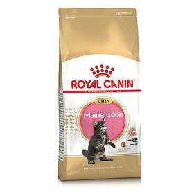 Royal Canin Breed Maine Coon 36 Kitten 4kg