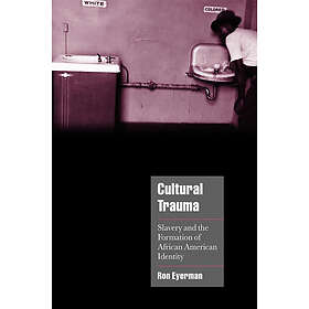 Ron Eyerman: Cultural Trauma