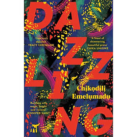Chikodili Emelumadu: Dazzling