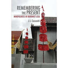J L Cassaniti: Remembering the Present