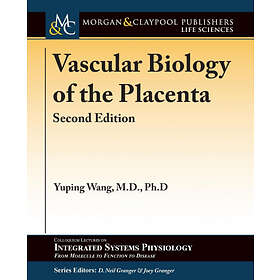 Yuping Wang: Vascular Biology of the Placenta