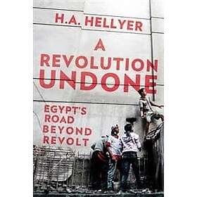 H A Hellyer: A Revolution Undone