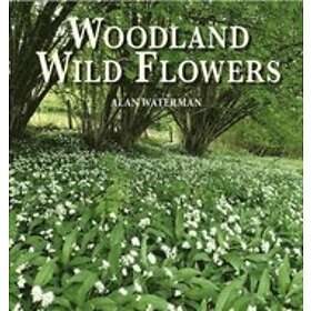 Alan Waterman: Woodland Wild Flowers