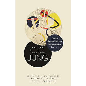 C G Jung, Suzanne Gieser: Dream Symbols of the Individuation Process