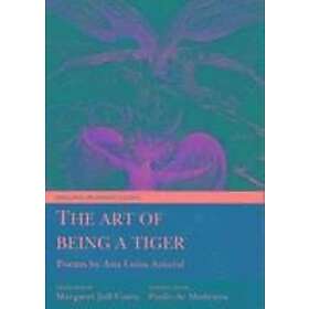 Ana Luisa Amaral, Paulo de Medeiros: The Art of Being a Tiger