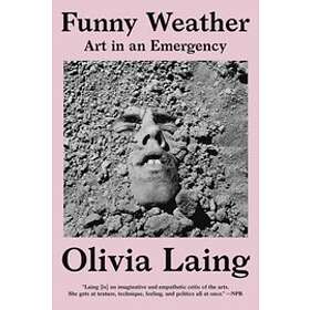 Olivia Laing: Funny Weather Art In An Emergency