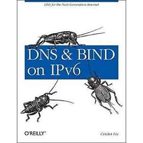 Cricket Liu: DNS and BIND on IPv6