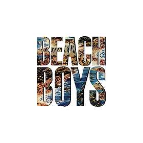 Beach Boys The Beach Boys LP