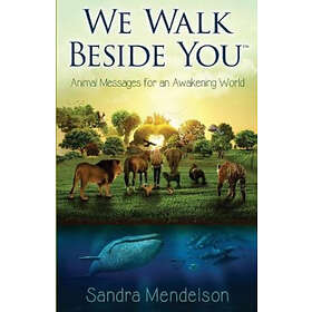 Sandra Mendelson: We Walk Beside You