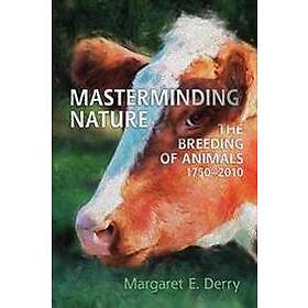 Margaret Derry: Masterminding Nature