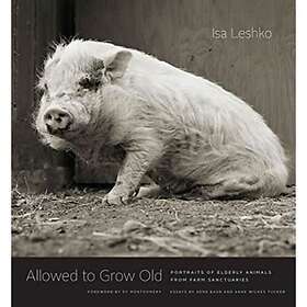 Isa Leshko: Allowed to Grow Old