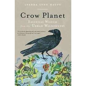 Lyanda Lynn Haupt: Crow Planet