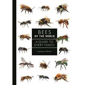 Laurence Packer: Bees of the World