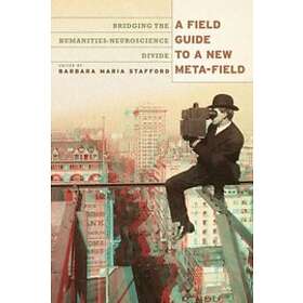 Barbara Maria Stafford: A Field Guide to a New Meta-field