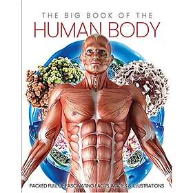 Katherine Marsh: The Big Book of the Human body