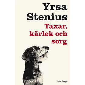 Yrsa Stenius: Taxar, kärlek och sorg