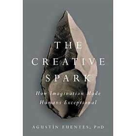 Agustin Fuentes: The Creative Spark