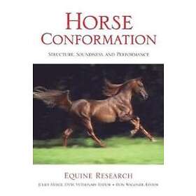 Equine Research: Horse Conformation