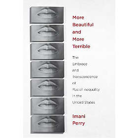 Imani Perry: More Beautiful and Terrible