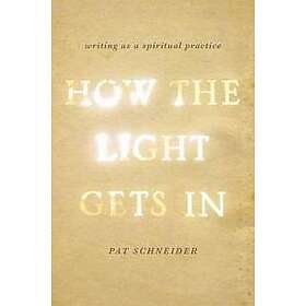 Pat Schneider: How the Light Gets In