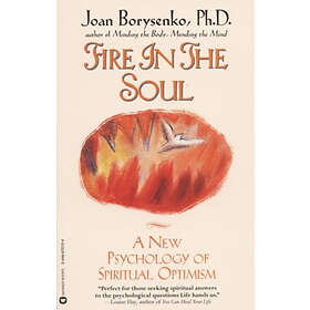 Joan Borysenko: Fire In The Soul