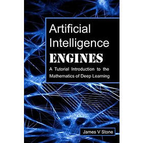 James V Stone: Artificial Intelligence Engines