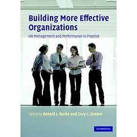 Ronald J Burke: Building More Effective Organizations
