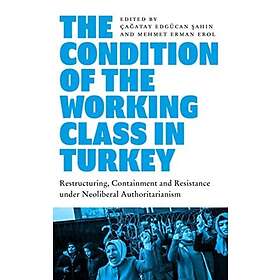 Cagatay Edgucan Sahin, Mehmet Erman Erol: The Condition of the Working Class in 