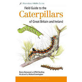 Dr Phil Sterling, Mr Barry Henwood: Field Guide to the Caterpillars of Great Bri