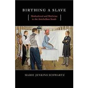 Marie Jenkins Schwartz: Birthing a Slave