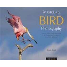 Marie Read: Mastering Bird Photography