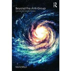 Morris Nitsun: Beyond the Anti-Group