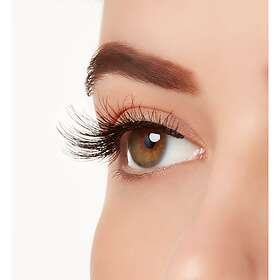Ardell TexturEyes 575 Lashes