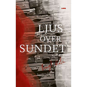 Bengt Rålin: Ljus över sundet