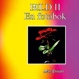 Max Erixon: Bild II
