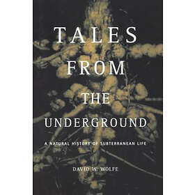David Wolfe: Tales From The Underground